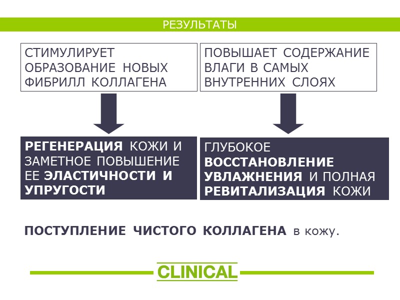 СТИМУЛИРУЕТ ОБРАЗОВАНИЕ НОВЫХ ФИБРИЛЛ КОЛЛАГЕНА ПОВЫШАЕТ СОДЕРЖАНИЕ ВЛАГИ В САМЫХ ВНУТРЕННИХ СЛОЯХ  РЕГЕНЕРАЦИЯ